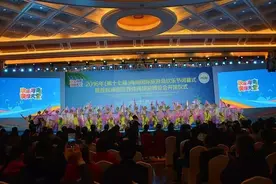 2016年海南国际旅游岛欢乐节闭幕，三亚市荣获全省欢乐主题旅游月“游客最喜爱活动奖”及“最佳组织奖”图片