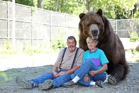 美国一对夫妇与棕熊为伴 亲密如一家人图片