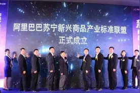 「新闻」新兴商品产业标准联盟在广州成立 推出联盟级标准图片