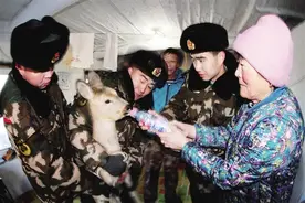 极寒中的解救图片