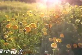 儿子很喜欢听的一首歌曲，循环听了一晚上！视频封面