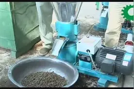 150型猪牛羊颗粒饲料机现场加工视频图片