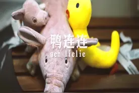 嗨什么嗨，我就想在这里睡！视频封面