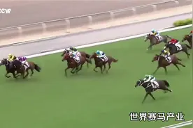 最神奇的赛马，只用16秒，从最后到冠军（马术）视频封面