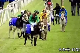 爆笑体育，英国赛马骑手新挑战，骑驴比赛视频封面