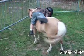 看看外国3岁小孩怎么骑马（马术 赛马）