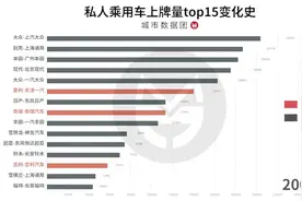 40秒看私人乘用车上牌量top15品牌变化史视频封面