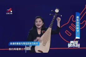 琵琶一共有4根琴弦，它们粗细不同所以发出的音也不同