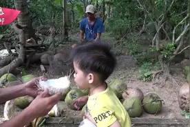 摘几个椰子下来，把椰子水喝光，用椰肉做诱饵来捉老鼠视频封面