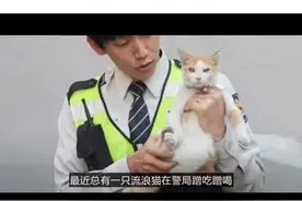 现实版的黑猫警长，穿上警服还蛮诱惑的！@抖音小助手视频封面