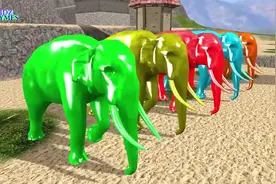 彩色大象手指儿童家庭歌曲3D卡通童谣视频封面