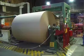 废纸回收后能加工成什么？看完解惑了！