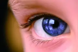 蓝绿眼睛其实都是棕色系图片