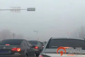 泰安市遭遇大雾天气 部分公交车晚点图片