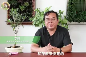 想让桂花长得好？盆的大小要选对！视频封面