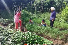 心酸！八旬老太带着三个孙子孙女苦撑一个家图片