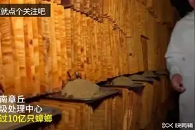 山东这座垃圾处理中心养了10亿只蟑螂，每天可处理50吨餐厨垃圾