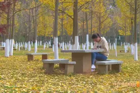 玉溪师范学院银杏美炸天，你不来看看？视频封面