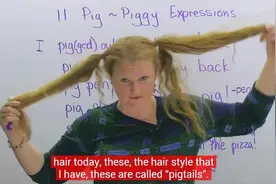 看完这个你就知道猪不是蠢货了！