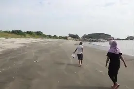 小渔和海珠去沙滩捡贝壳，满地的贝壳又多又漂亮，都是送朋友的