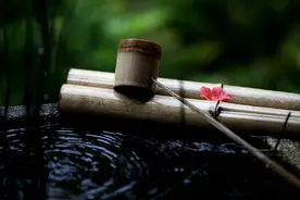 在店小二家他遇到两位狐妖美人，一桩命案掀开店小二的伪装面具图片