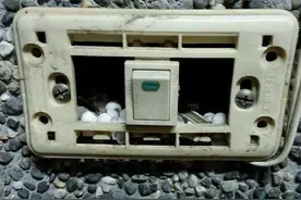 男子拆开开关检查电灯突然不亮的原因，结果却惊见一堆可怕的东西图片