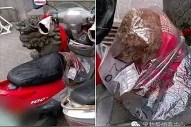 饲主怕狗冷，将贵宾犬装进塑料袋封住将死，女网友偶遇开缝救命！图片