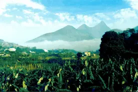 高州三官山生态美景，你值得浏览图片