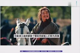 刘备谋士庞统都做了哪些贡献被人们称为凤雏？视频封面