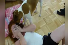 狗狗狂舔女主人，感情真的好视频封面