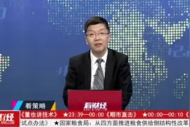 指数震荡整理  国企改革将是重头戏视频封面