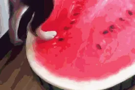 养哈士奇的主人基本都被蠢哭过图片
