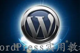 WordPress修改评论者网址、邮箱等个人信息的教程图片