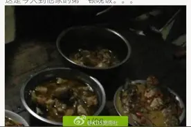 我花了18年时间才能求你一起回家相亲图片