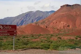 旅游车司机“喝啤酒解渴” 游客被吓坏下车“自由行”图片