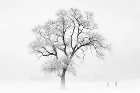 梦在远方，在有雪的地方,美丽的吉林松花江畔，那里是我的故乡图片