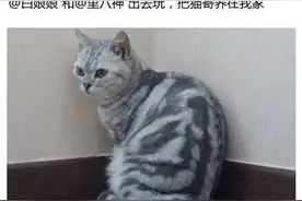 千万不要用猫爪设置指纹解锁！图片