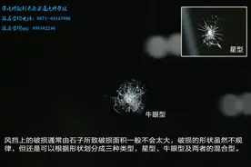 汽车玻璃裂痕快速修复技术，太神奇了！图片