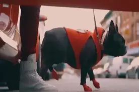 “买了佛冷”原版视频