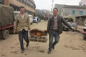 城里人爱“山货” 大河土鸡鹅俏销——鸡用筐买，鹅论袋卖图片