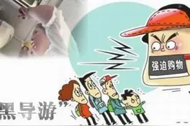 导游辱骂游客事件屡禁不止 是法不责众还是另有隐情？图片