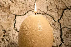 从前有个恐龙蛋，它被人点燃之后，孵出了个小恐龙来！图片