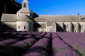 文明法国|亲历法国地铁，无人逃票，凌晨两点人们仍等红绿灯图片