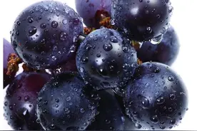 全家这么吃，轻松活到120岁！图片