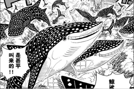 恶魔果实能力者的克星，原七武海——海上王者甚平图片
