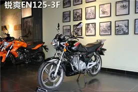 完全车型：两款不同排量的豪爵铃木——锐爽图片