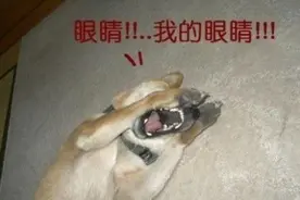 婆婆为儿装修婚房吓哭儿媳！图片
