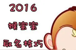 2016猴宝宝取名技巧，旺财，显富贵影响孩子一生！图片