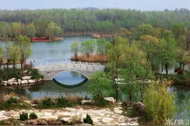 潍坊白浪绿洲国家城市湿地公园，春风吹绿似江南图片