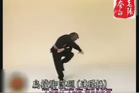 李书文八极拳金刚八式 第四式 连环捶（五）视频封面